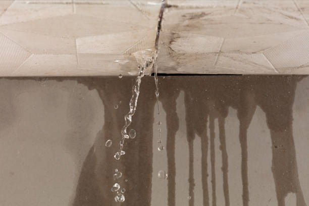 Professional Water Damage Repair technician working in Randolph, NJ